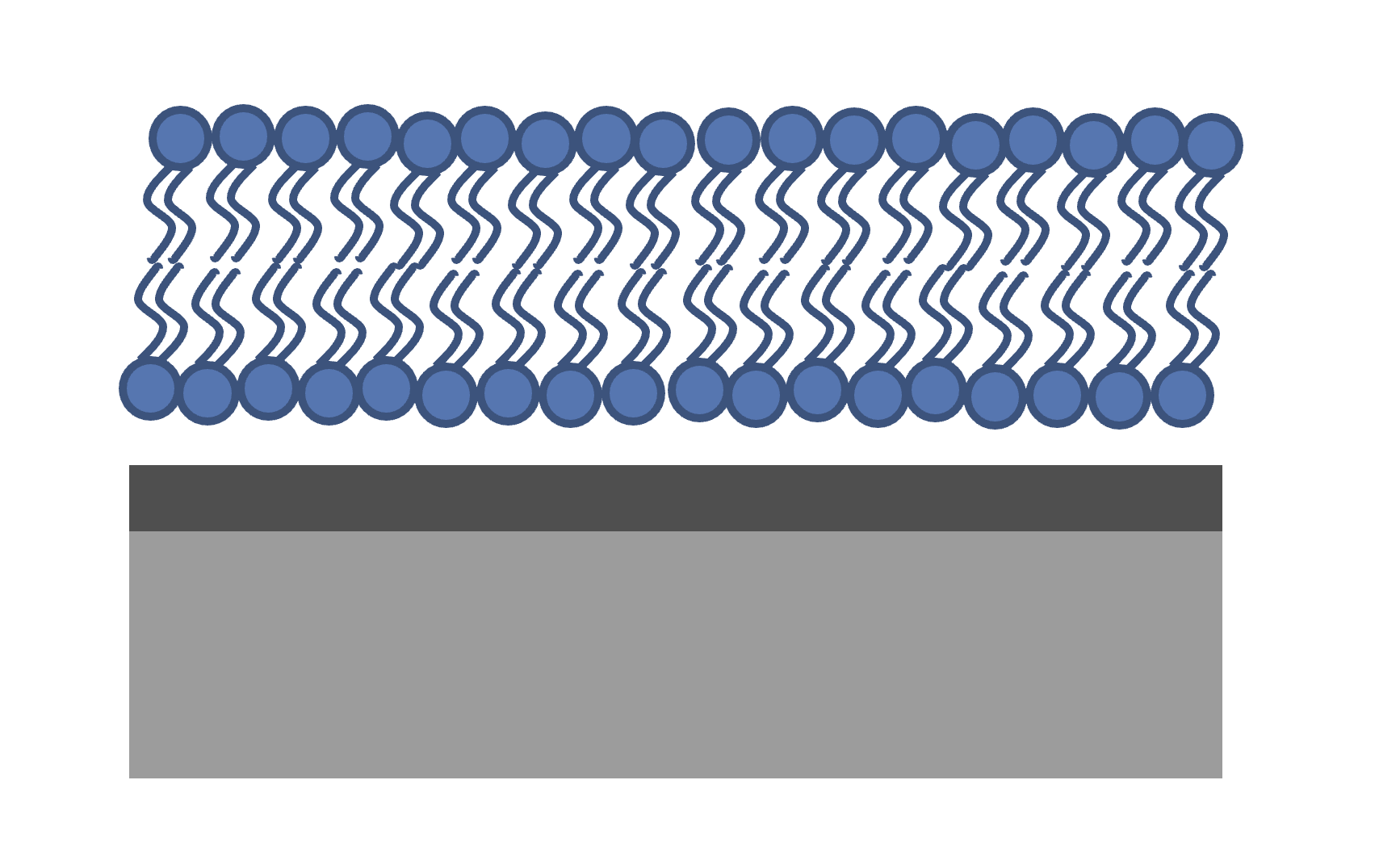 Bilayer on silicon diagram