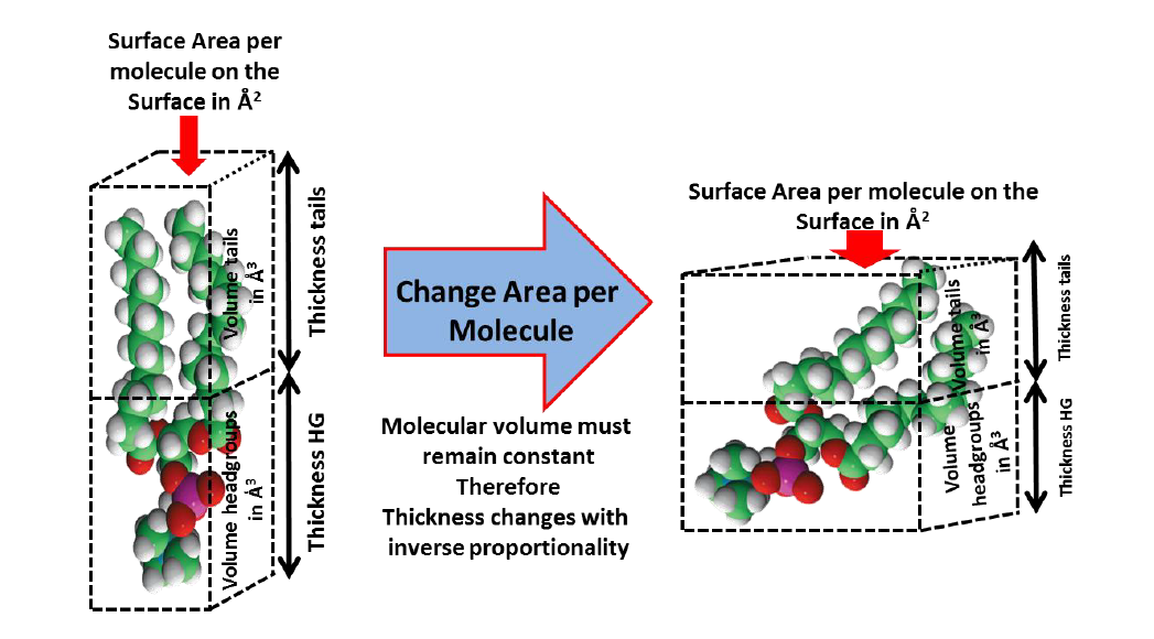 Illustration of area per molecule change