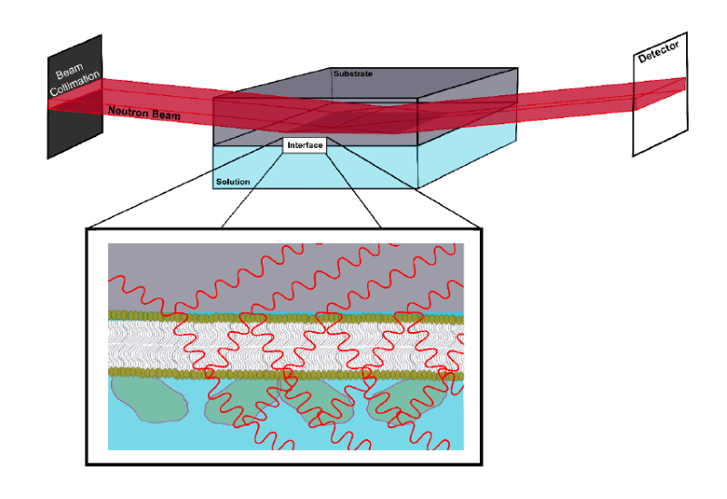 Neutron Reflectometry in a solid-liquid flow cell